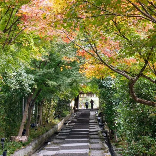 今日は富士山の日