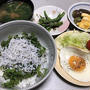 しらす丼