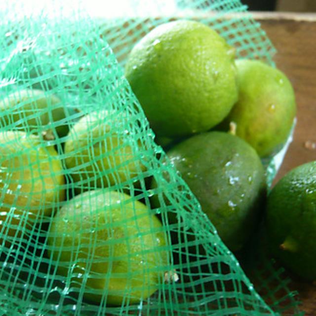 ライム（Lime）の美味しい食べ方 by Salaさん | レシピブログ - 料理 ...