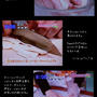 ■新年度・初【生放送出演】 高野豆腐でかりんとうヽ(o･∀･)ﾉ｡ﾟ■