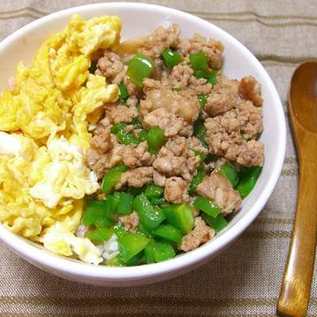 エスニック2色丼（3色?）