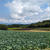 榛名山へ
