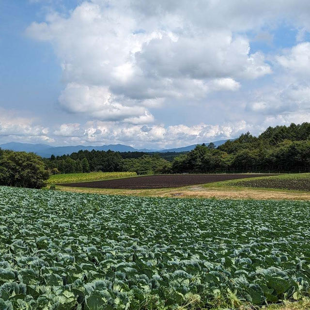 榛名山へ