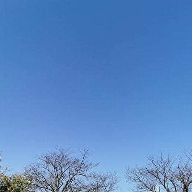 ラジオ体操から始まる１週間