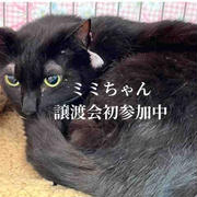 初めてでも頑張りました！