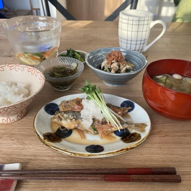 飾り棚に並べた観葉植物とやかん