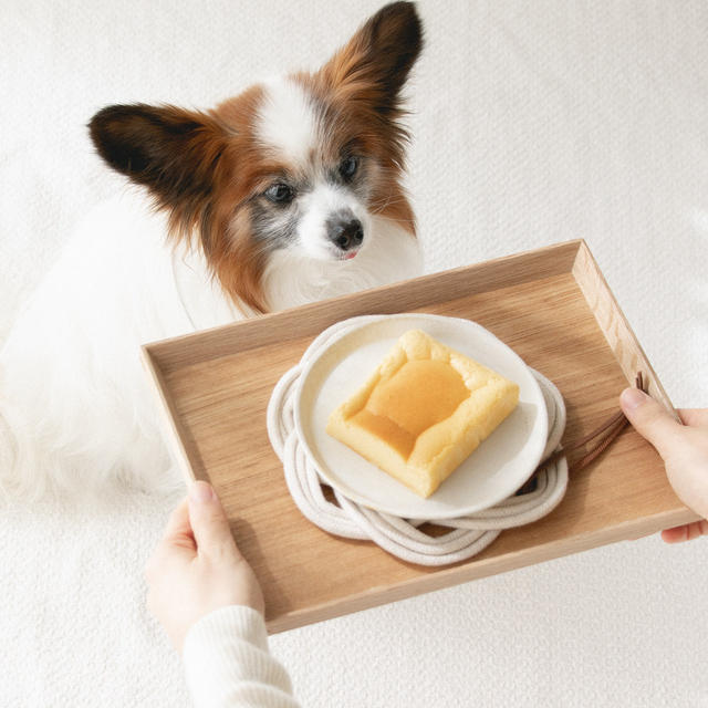 卵ひとつ パウンドケーキ型で犬用の台湾カステラを作ってみました 手作り犬おやつ By 犬ごはん先生 いちかわあやこさん レシピブログ 料理ブログのレシピ満載