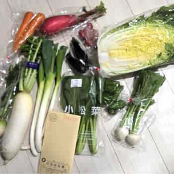 【ふるさと納税】福島県大玉村 5000円　野菜10種超