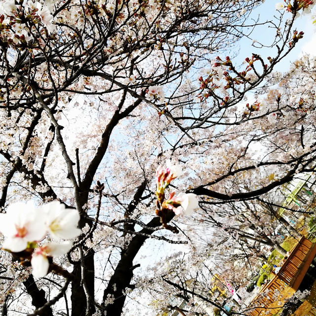 入園式