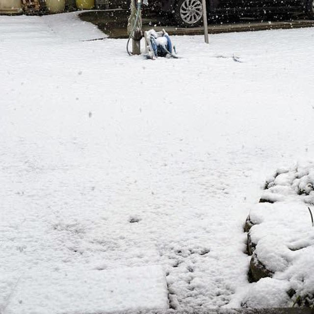 アメブロ更新〜天気予報的中が憎い大雪騒動とバレンタインの準備