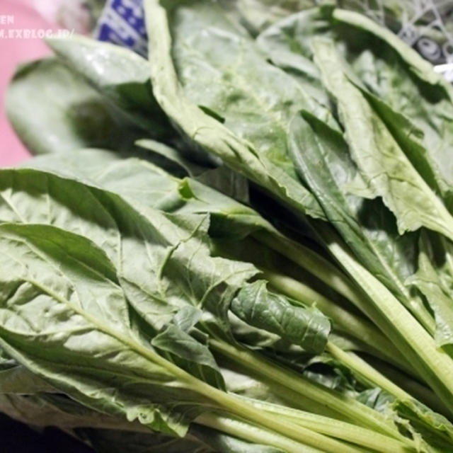 【ぎふベジ】ほうれんそう編①　～　夏ほうれん草（岐阜ほうれんそう）の紹介と洗い方茹で方＆炒め方のコツと冷凍保存時のポイント　おまけの簡単レシピ。