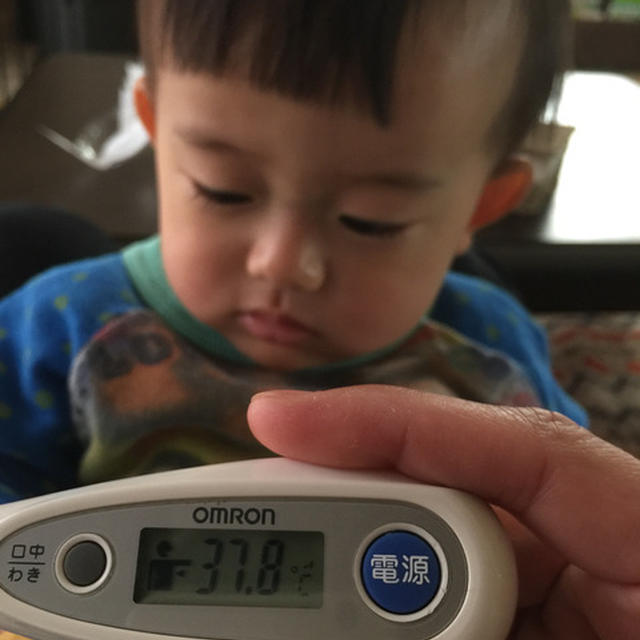 節分。