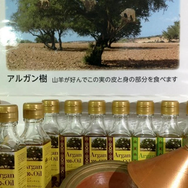 展示会レポート
