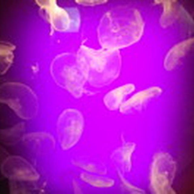 水族館