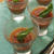 Gazpacho ガスパッチョ