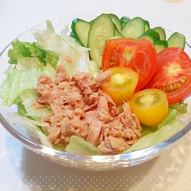 サラダうどん