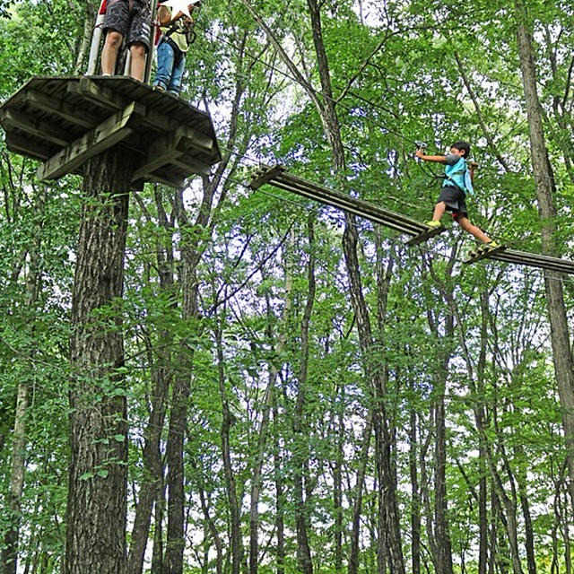 キャンプ２日目の大冒険♪樹上１０メートルのチャレンジ