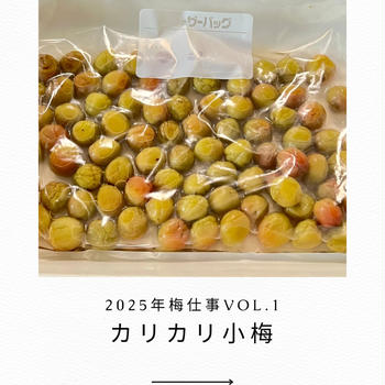 【Cooking】梅仕事2025第１弾