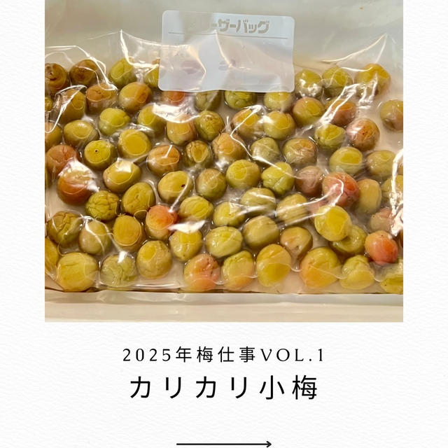 【Cooking】梅仕事2025第１弾