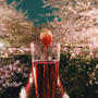 中目黒の桜。なかなかいい感じに撮れたんじゃないか。