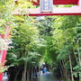 お疲れ様回復旅。熱海のパワースポット！＠来宮神社