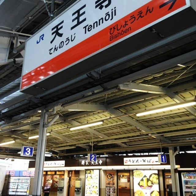 【駅そば立ちそば173杯め】さすが関西！駅うどんでもこのクオリティ、だしがじんわり＆ピリッと美味しいJR天王寺駅「麺家」さんで「牛肉カレーうどん」