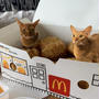 マックランチとひめナゲット