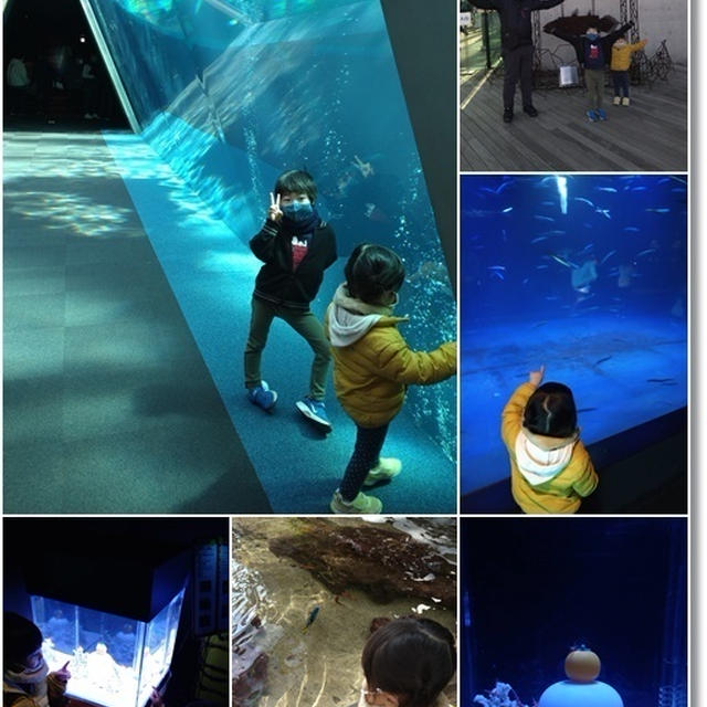 【いわき市】水槽の目の前で御寿司が食べれる！環境水族館☆アクアマリンふくしま♪