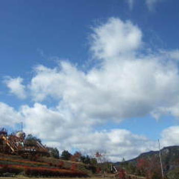 秋の野山。