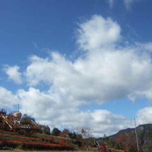 秋の野山。