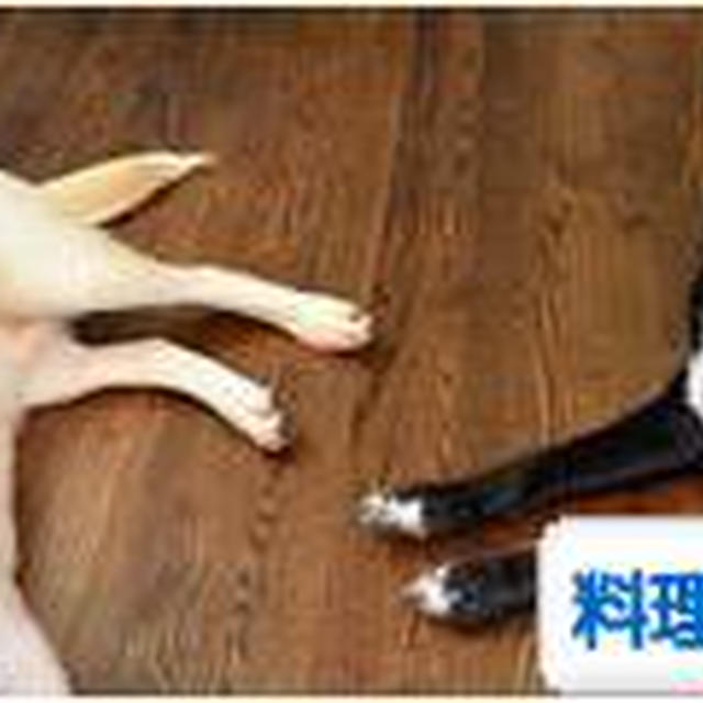 旦那と二人で．．．