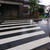 。◇ 大雨の中・・旗振り行ってきました ◇。