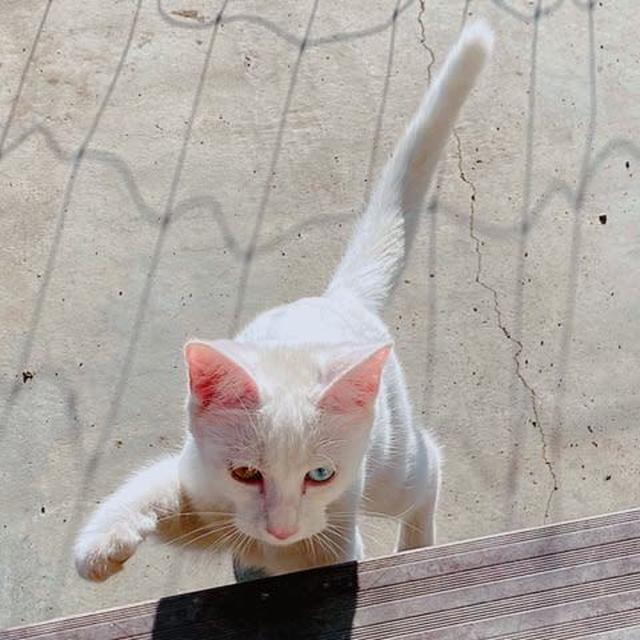 烏天狗様のご利益！？