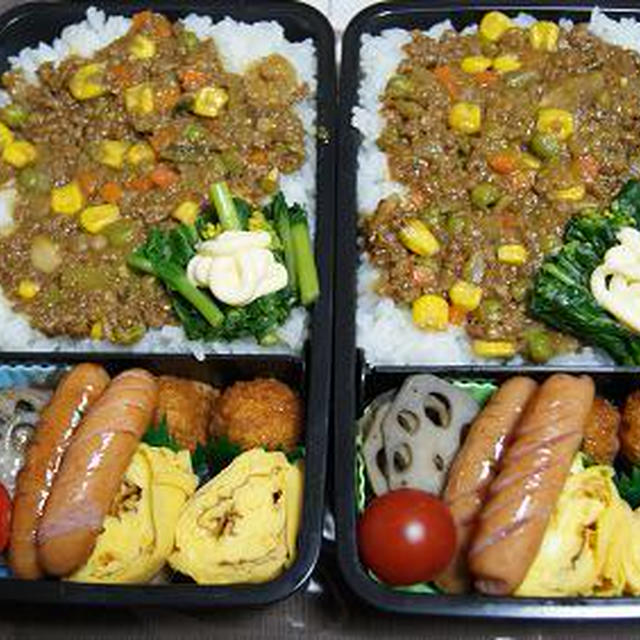 ドライカレー弁当