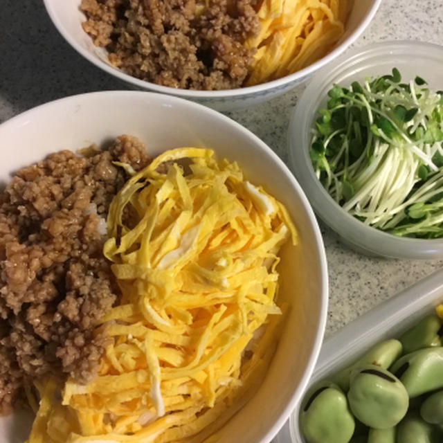 とりあえず2色どんぶり