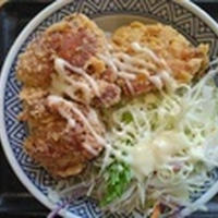 から揚げは、ご飯に合う？　ひとことのひとりごと３０４９