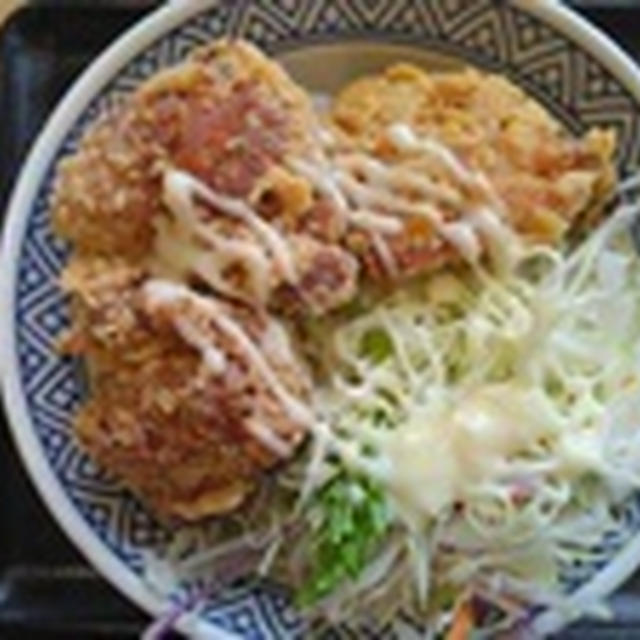 から揚げは、ご飯に合う？　ひとことのひとりごと３０４９