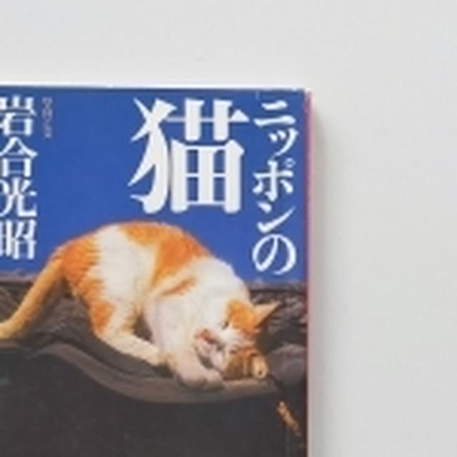 ヤッホー！暮らしの往復書簡vol.7岩合光昭さんの猫カレンダー