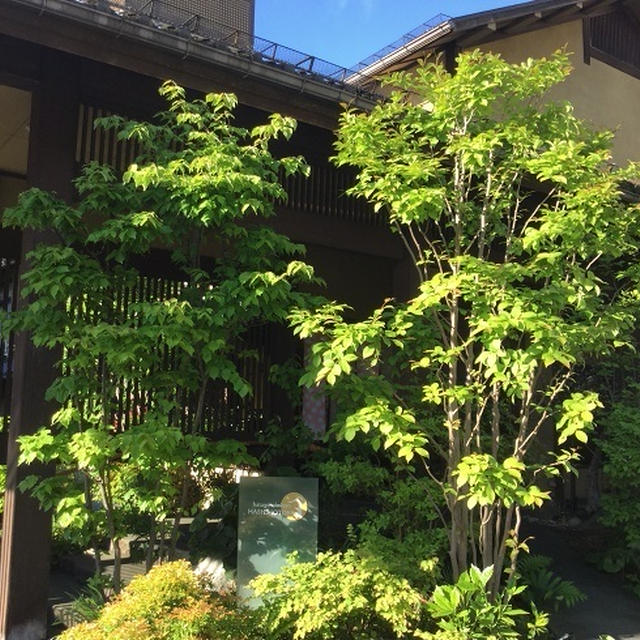 ２日目：はたごの心　橋本屋　【お部屋編】