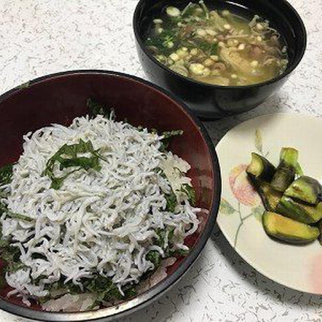 釜揚げちりめん丼