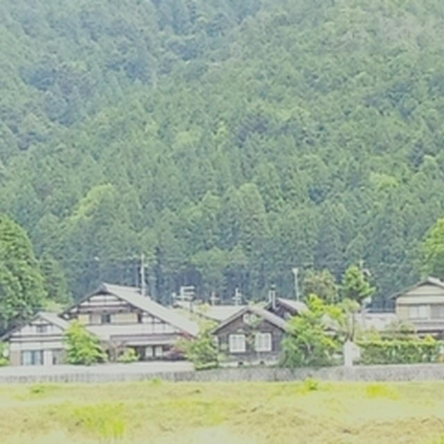 里の駅大原とネギ坊主・ユキノシタの天ぷら