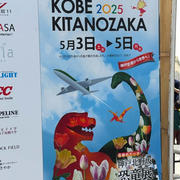 ゴールデンウィーク後半