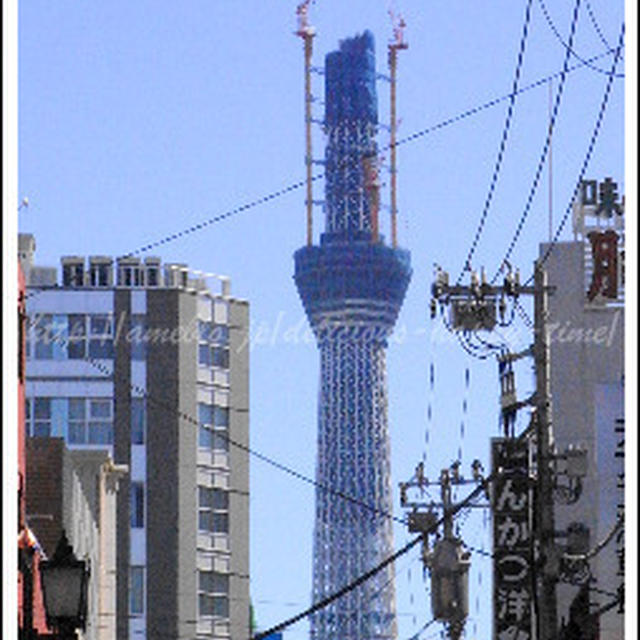 合羽橋でみた！