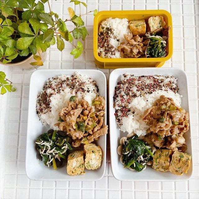 お弁当＆お留守番用おき弁の、1週間まとめ