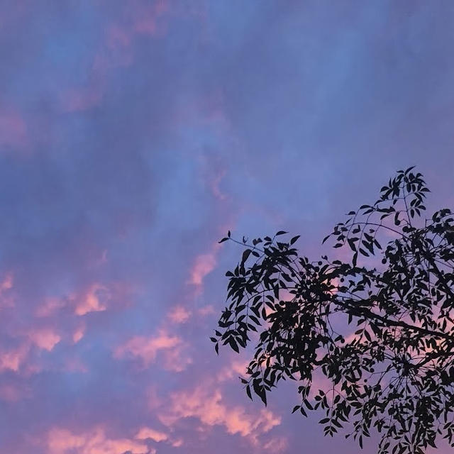 今朝の、空。