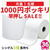 24日20時～1000円 ポッキリ トイレットペーパー