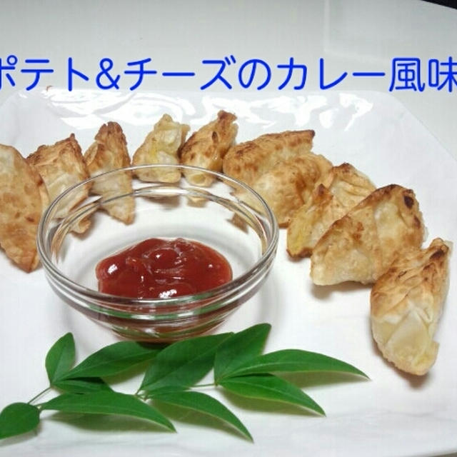 豆腐ﾊﾝﾊﾞｰｸﾞ　献立✿ｻﾓｻ風春巻き
