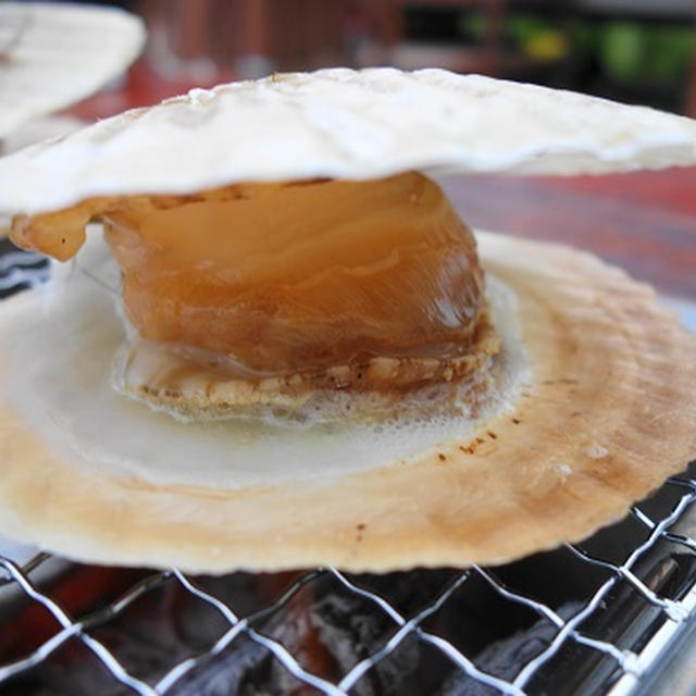 バーベキュー☆海鮮オススメ食材を思い出から
