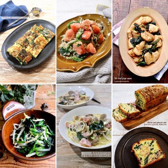ほうれん草レシピ10選♡【#簡単レシピ#ほうれん草】