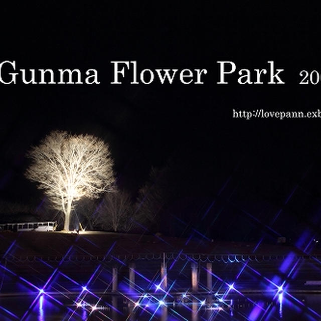 １２月の花火大会